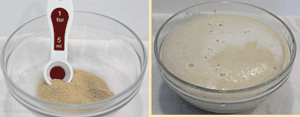 Dry Yeast measured with a 5ml measure: Yeast mixed with sugar & water, proving